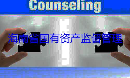 委副书记王资产监督管理委员会党有福接受审海南省国有查调查